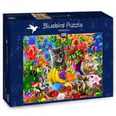 Blue Bird Puzzle Zábavná koťata 1000 dílků