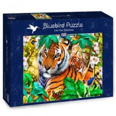 Blue Bird Puzzle Ve stínech 1500 dílků