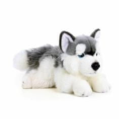 Rappa Plyšový pes husky ležící 30 cm