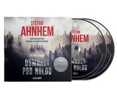 Ahnhem Stefan: Fabian Risk 3: Osmnáct pod nulou (2x CD)