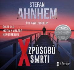 Ahnhem Stefan: Fabian Risk 5: X způsobů smrti