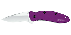 Kershaw 1620PUR SCALLION - PURPLE kapesní nůž s asistencí 6 cm, fialová, hliník 