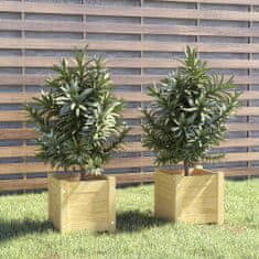 Vidaxl Zahradní truhlíky 2 ks 31 x 31 x 31 cm masivní borovice