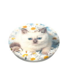 PopSockets PopTop Gen.2, Purr-fect Flower, koťátko v kopretinách, výměnný vršek