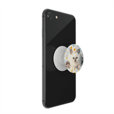 PopSockets PopTop Gen.2, Purr-fect Flower, koťátko v kopretinách, výměnný vršek