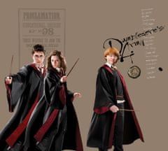 AG Design Dětský foto závěs HARRY POTTER 180 x 160 cm