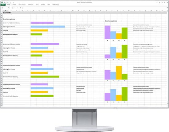 Eizo EV2456-WT - LED monitor 24"