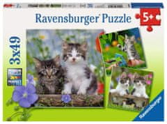 Ravensburger Puzzle Koťata 3x49 dílků