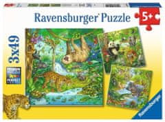 Ravensburger Puzzle Zvířata v džungli 3x49 dílků