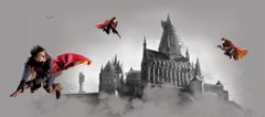 AG Design Dětská fototapeta HARRY POTTER 170 x 75 cm