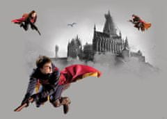 AG Design Dětská fototapeta HARRY POTTER 155 x 110 cm