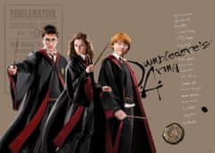 AG Design Dětská fototapeta HARRY POTTER 155 x 110 cm