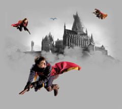 AG Design Dětská fototapeta HARRY POTTER 300x 270 cm