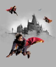 AG Design Dětská fototapeta HARRY POTTER 225x 270 cm