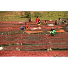 COFFEEDREAM RWANDA KILIMBI - Hmotnost: 500g, Typ kávy: Zrnková, Způsob balení: třívrstvý sáček se zipem, Stupeň pražení: pražení COFFEEDREAM