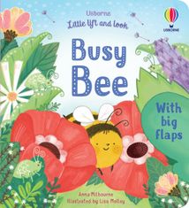 Usborne Little Lift and Look Busy Bee