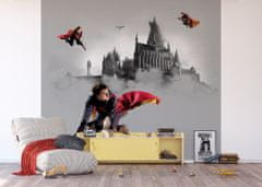 AG Design Dětská fototapeta HARRY POTTER 300x 270 cm