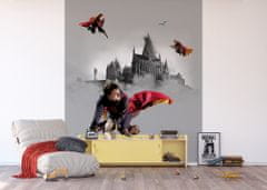 AG Design Dětská fototapeta HARRY POTTER 225x 270 cm