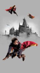 AG Design Dětská fototapeta HARRY POTTER 150 x 270 cm