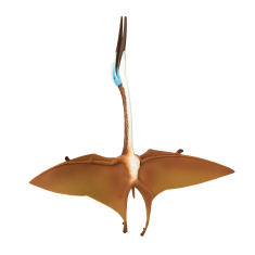 Safari Ltd. Safari Ltd. Quetzalcoatlus