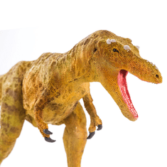 Safari Ltd. Safari Ltd. Figurka - Qianzhousaurus