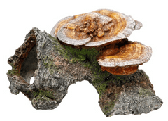 Nobby Dekorace do akvária Dutý pařez s houbami 18cm