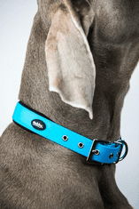 Nobby Obojek pro psa z PVC Cover S světle modrý