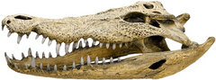 Nobby Dekorace do akvária Lebka krokodýla 47,5cm