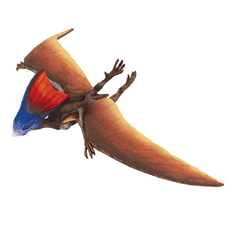 Safari Ltd. Safari Ltd. Figurka - Tapejara (pterosaurus)