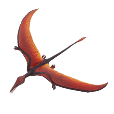 Safari Ltd. Ramphorhynchus