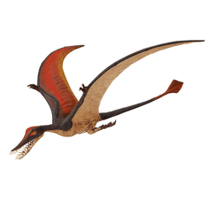 Safari Ltd. Safari Ltd. Ramphorhynchus