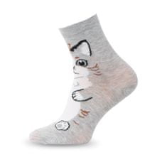 Aleszale 5x Dámské bavlněné ponožky, motiv kočky, 39-42 - mix barev