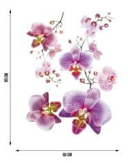 AG Design Samolepka na zeď FIALOVÉ ORCHIDEJE 65 x 85 cm