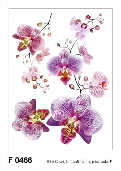 AG Design Samolepka na zeď FIALOVÉ ORCHIDEJE 65 x 85 cm