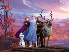 AG Design Dětská fototapeta DISNEY LEDOVÉ KRÁLOVSTVÍ,HRDINOVÉ FROZEN II NA HORSKÉ PLOŠINĚ , 252 x 182 cm