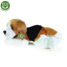 Rappa plyšový pes Bígl ležící, 30 cm, ECO-FRIENDLY