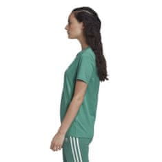 Adidas Tričko zelené S Trefoil Tee