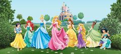 AG Design Dětská fototapeta Disney Princezny na louce před zámkem 202X90