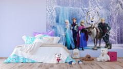 AG Design Dětská fototapeta DISNEY POSTAVY FROZEN V KOUZELNÉM LESE 360X270