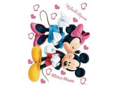 AG Design Samolepka na zeď DISNEY MINNIE A MICKEY SPOLU 65 x 85 cm