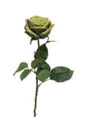C7.cz Růže - Rosa zelená 68cm
