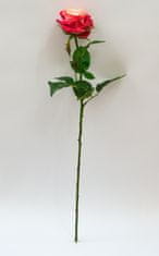 C7.cz Růže - Rosa Broceliande červená 65cm