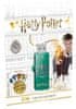 Emtec USB flash disk "Harry Potter Slytherin", 32GB, USB 2.0