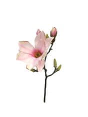 C7.cz Magnolie - Magnolia Devin vyběr růžová V33 cm