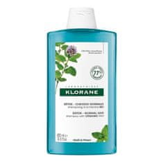 Klorane Detoxikační šampon pro normální vlasy Menthe (Detox Shampoo) (Objem 400 ml)