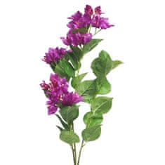 C7.cz Bugenvilea - Bougainvillea spray fialová / beauty V96 cm