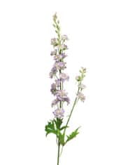 C7.cz Stračka (Ostrožka) - Delphinium Agathe modrá V85 cm