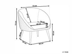 Beliani Sametové křeslo šedé TROMSO