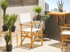 Beliani Sada 2 zahradních židlí ze světlého akátového dřeva skvrnitý vzor CINE