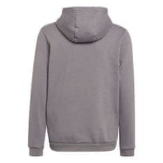 Adidas Mikina šedá 147 - 152 cm/M Entrada 22 Hoody